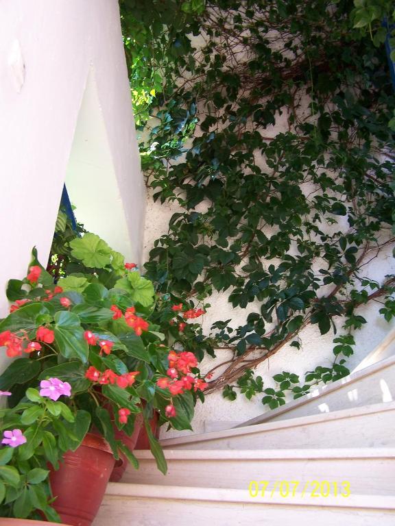 Appartement Gianna