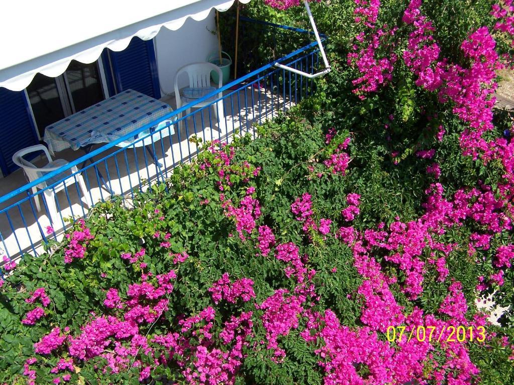 Apartment Gianna Nydri (Lefkada)